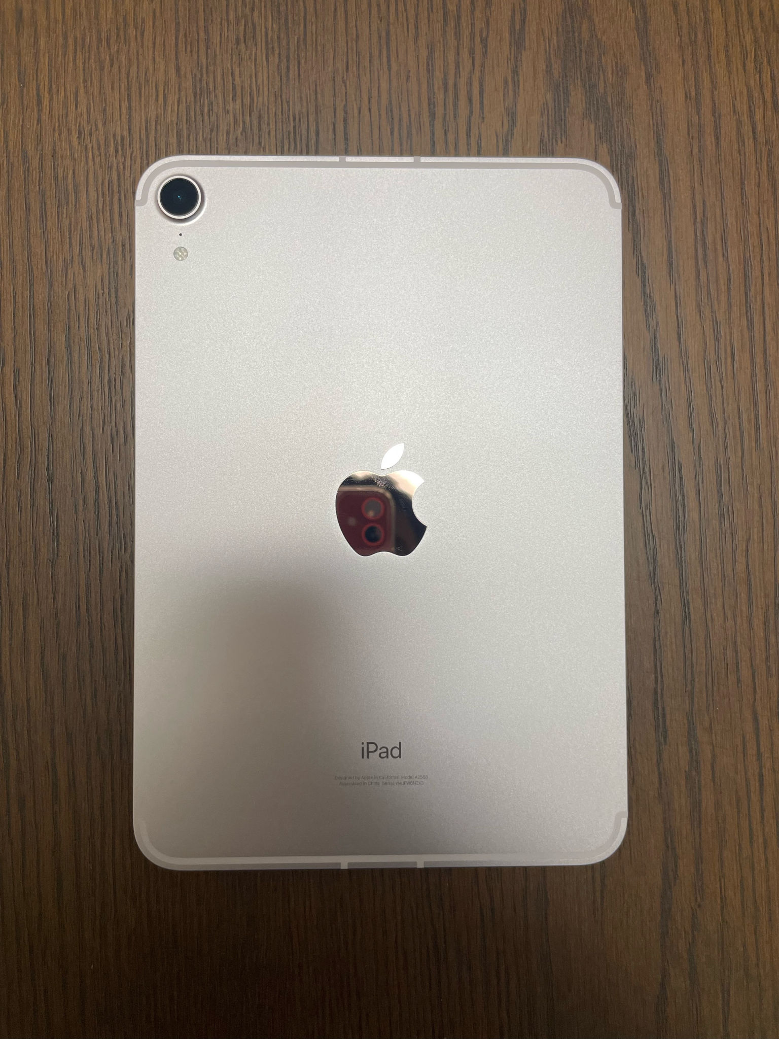 Apple iPad mini 6 シルバー 64gb 本体(画面エラーあり)
